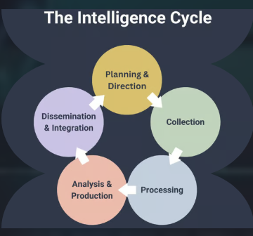 Der Intelligence-Zyklus